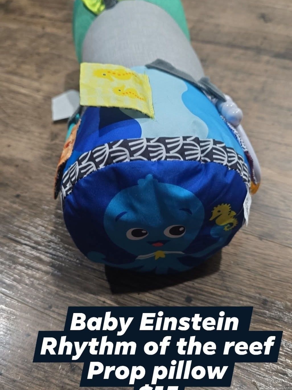 Baby Einstein Rhythm of the Reef Blue Sensory Prop Pillow